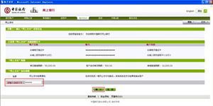 中國銀行網上支付用戶指南