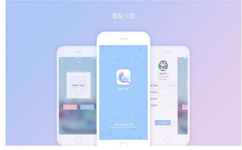 黃岡網上購物商城系統外包