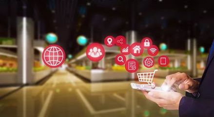 快消品零售商的實(shí)證案例研究 購物系統(tǒng)的視角